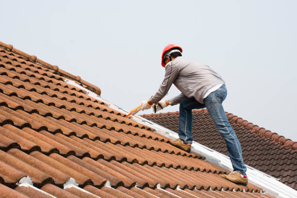 Best Storm Damage Roof Repair  in Egypt, PA